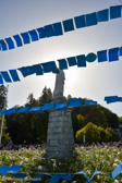 DSC_9350.jpg
