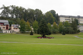 DSC05763_cr.jpg