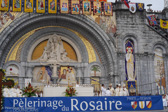 DSC05959_cr.jpg