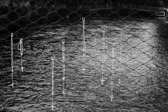 DSC06287-Modifier.jpg
