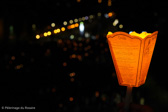 DSC06400_cr.jpg