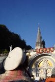 DSC06453.jpg