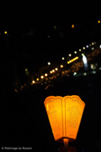 DSC06930.jpg