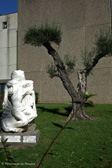 _R001246_cr.jpg
