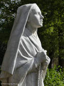 P1180310_1_.jpg