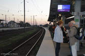 IMG_2074.jpg