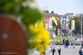 DSC_5736.jpg
