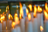 DSC_6218.jpg