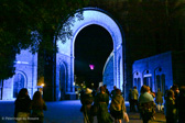 DSC_6389.jpg