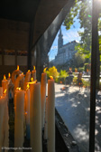 DSC_6424.jpg