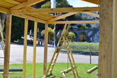 DSC_6487.jpg