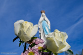 DSC_6511.jpg