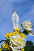 DSC_6514.jpg