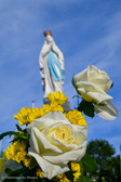 DSC_6515.jpg