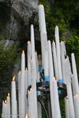 DSC_6531.jpg
