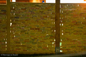 DSC_6594_1.jpg