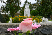 DSC_6609.jpg