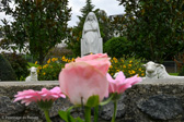 DSC_6610.jpg
