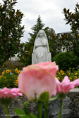 DSC_6612.jpg