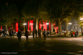 DSC_6644.jpg