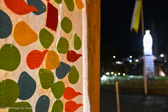 DSC_7045.jpg