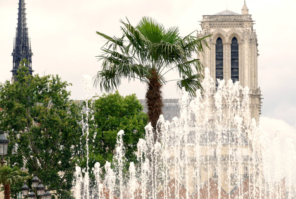 Revoir l’intérieur de Notre-Dame tel qu’auparavant et se replonger dans son histoire