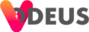 logo-vodeus-lettgrises logo-vodeus-lettgrises