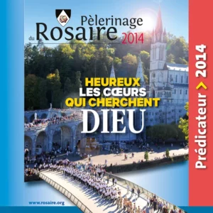 Pèlerinage du Rosaire à Lourdes 2014, image de foule.