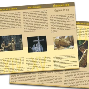 ROSdeplCHEMCROIX 2009 img boutique